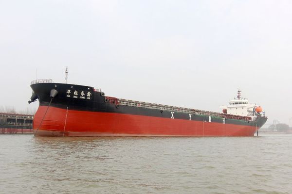 Huabiao Yongxin (Wanlong)